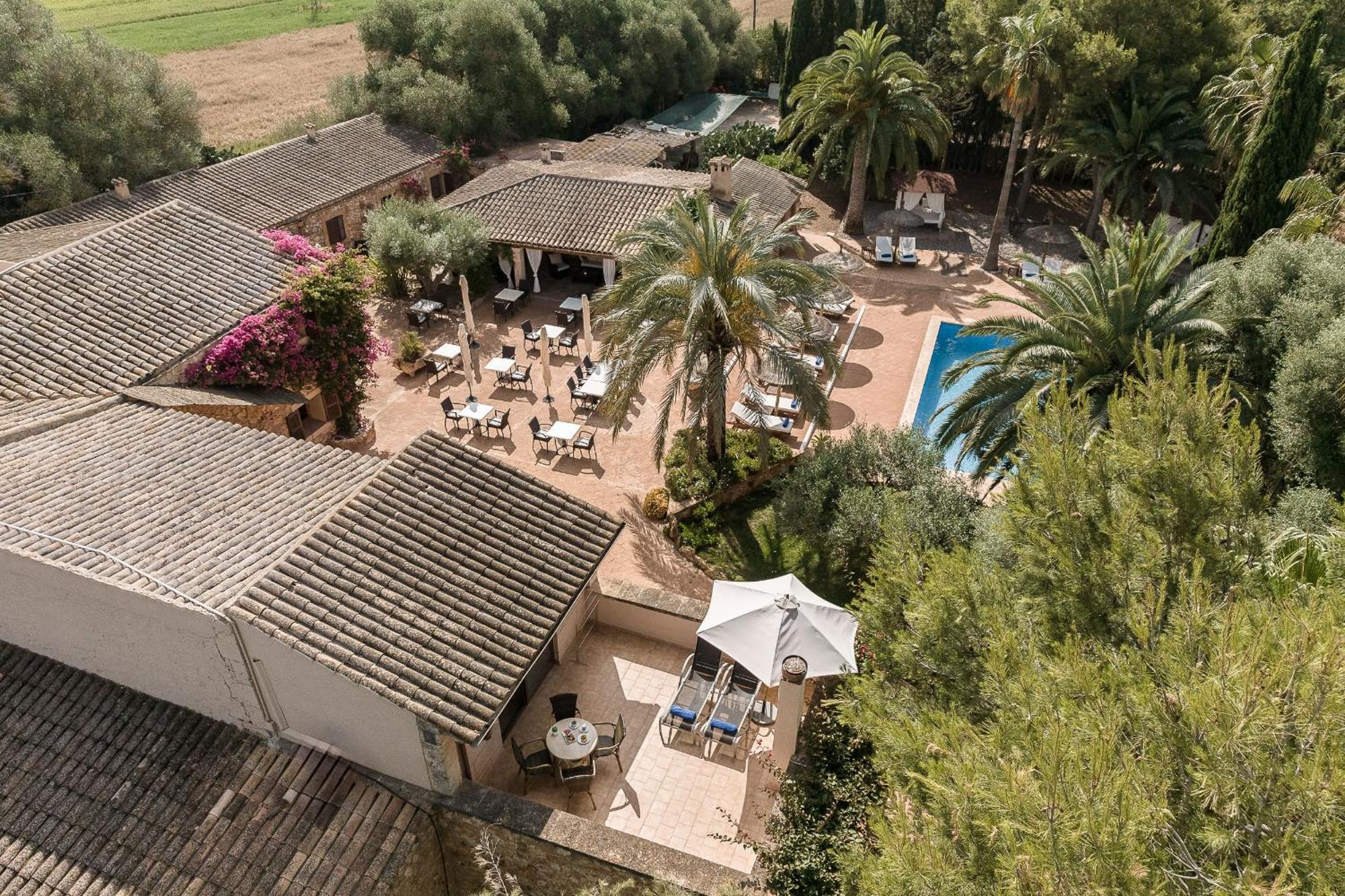 Suite Junior con terraza