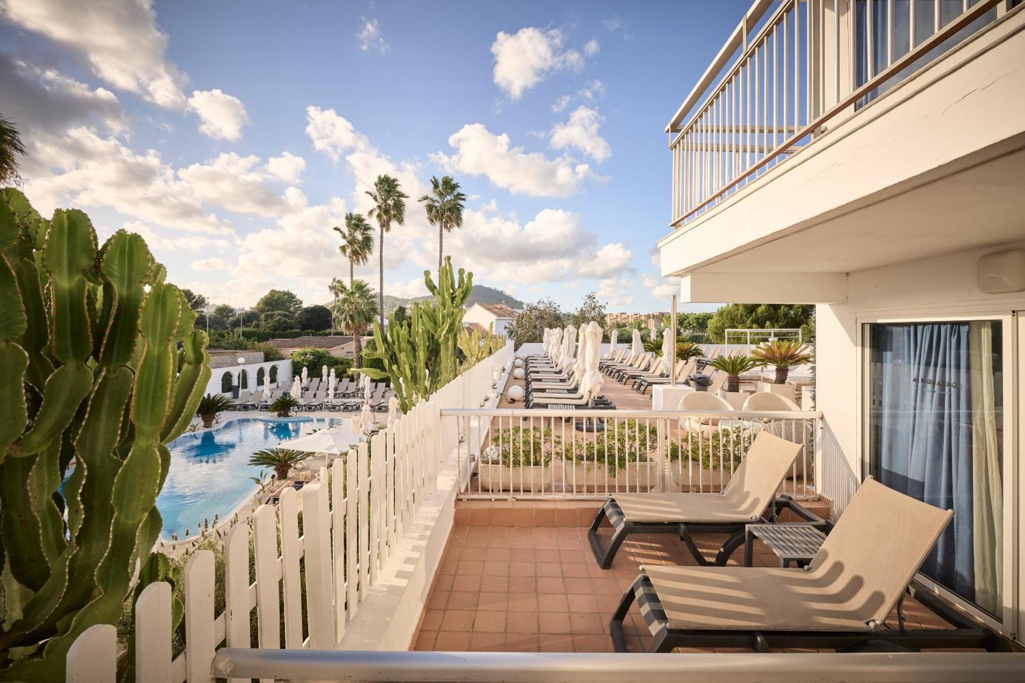 Double Room Terrace with Pool View