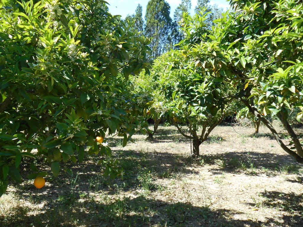 Holiday Home,332179657:JPEG