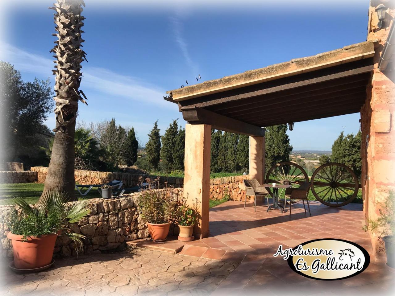 Budget Double Room,1606600935:JPEG