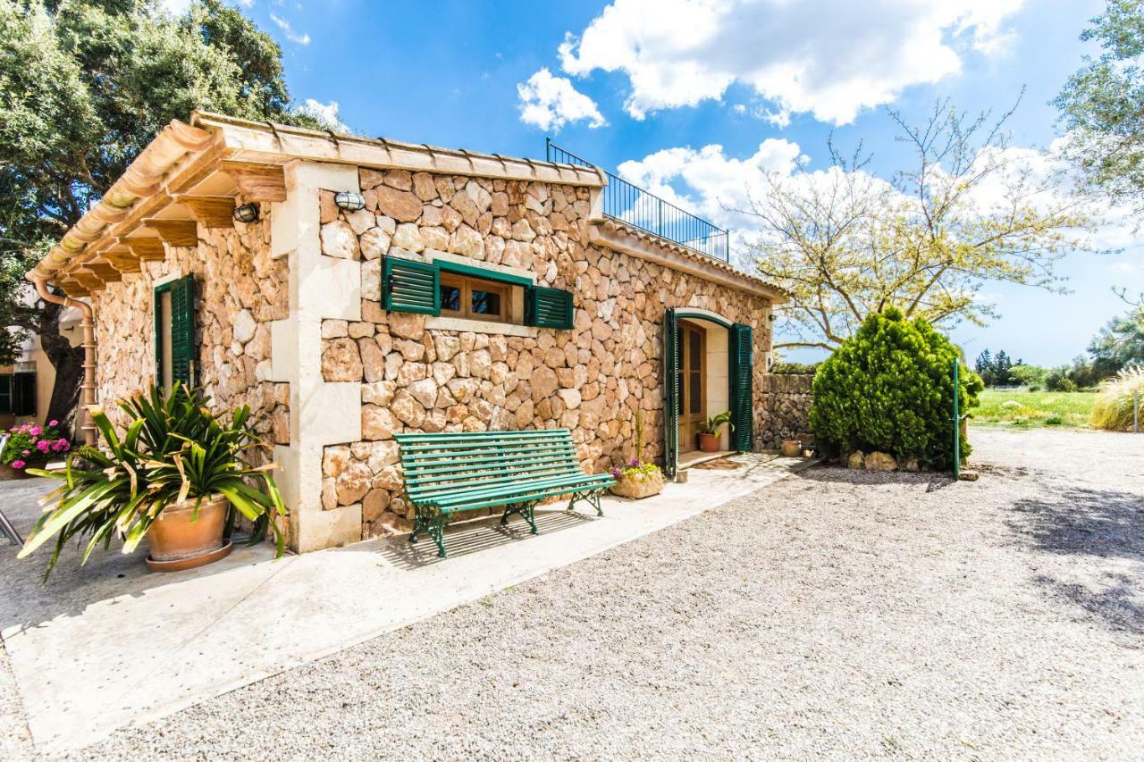 Studio with Terrace,784410228:JPEG