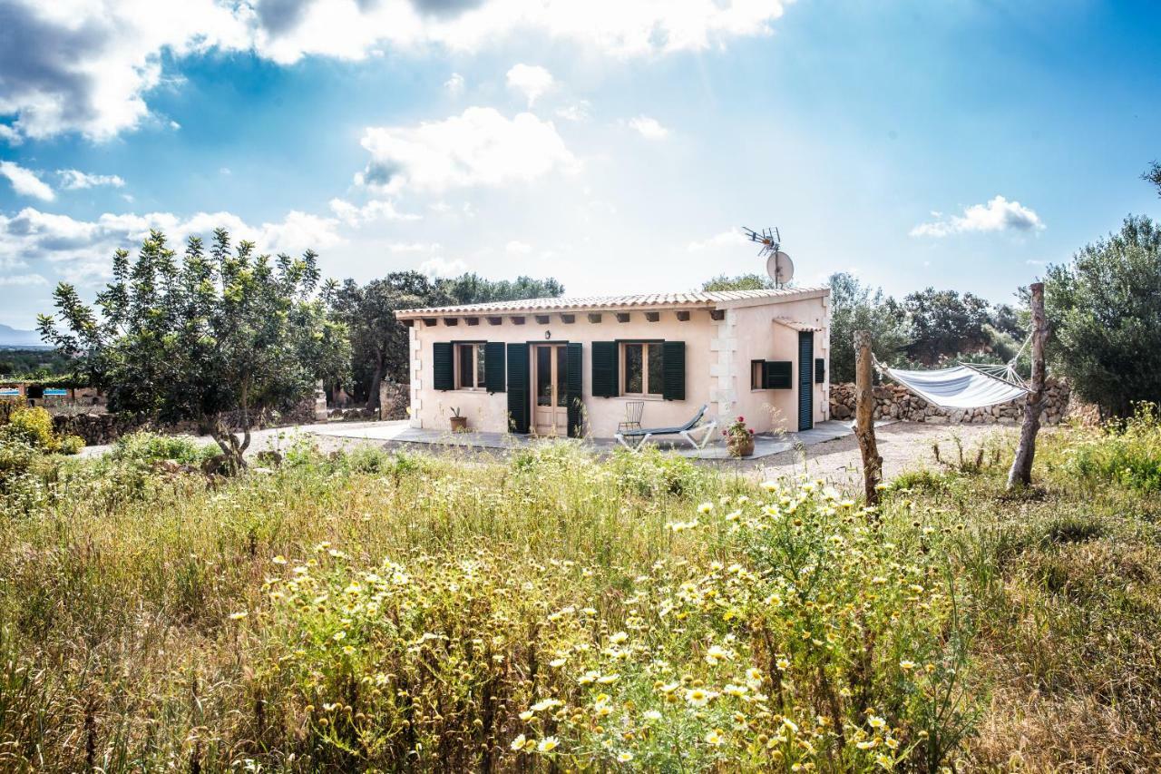 Bungalow with Terrace,783689217:JPEG