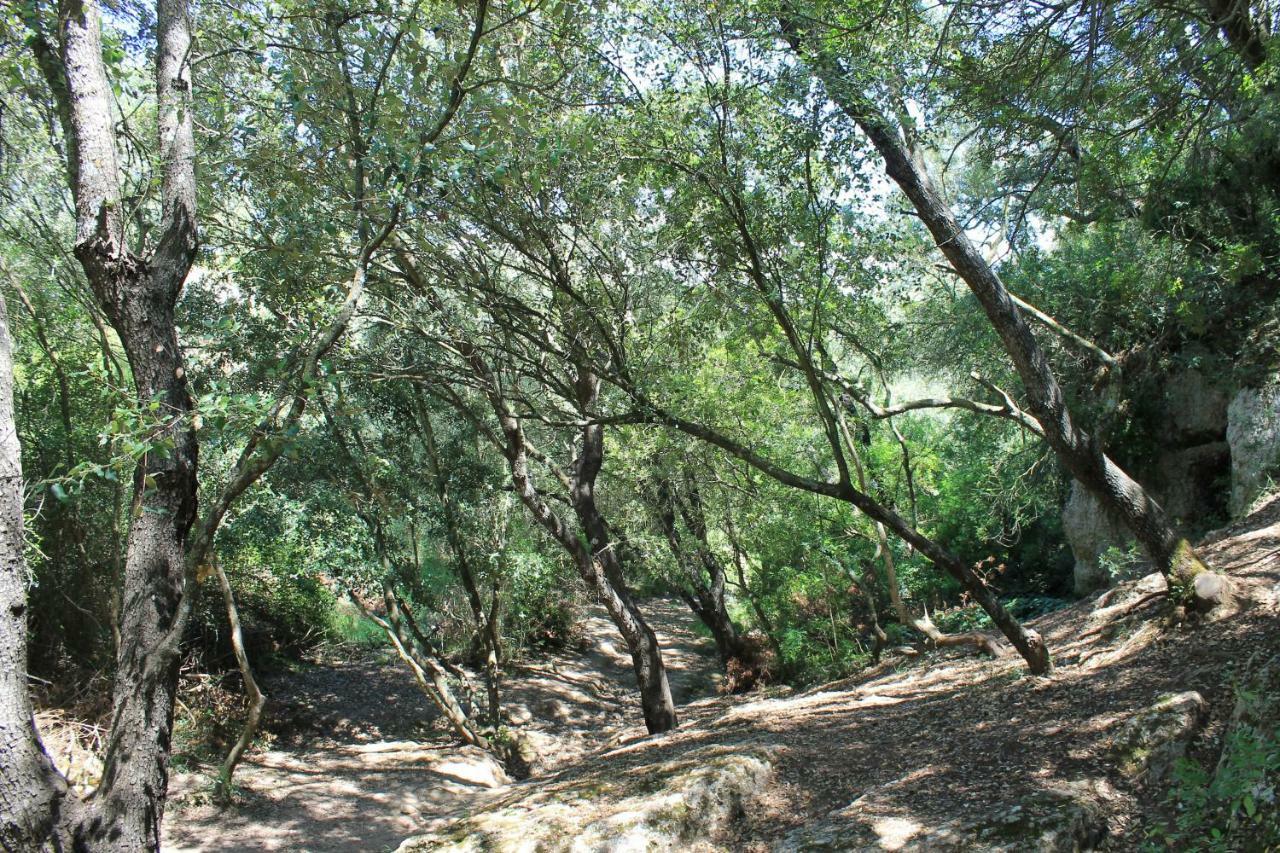 Holiday Home,862831004:JPEG