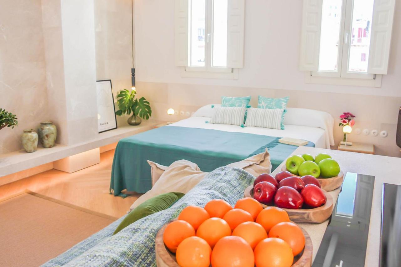 Appartamento Monolocale con Terrazza