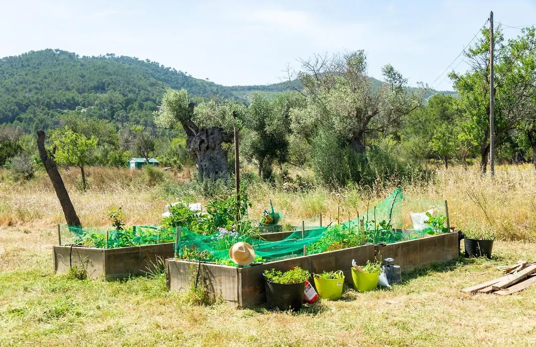 Country House In Heart Of Azaro Valley-1