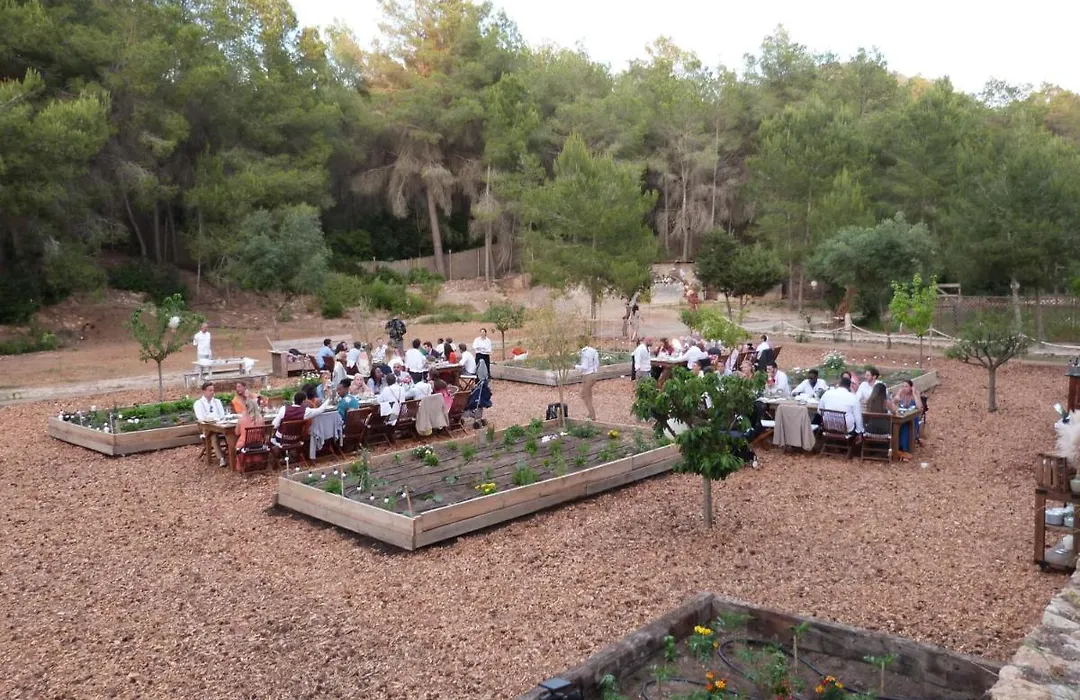 Ipunga Ibiza - Adults Only-1