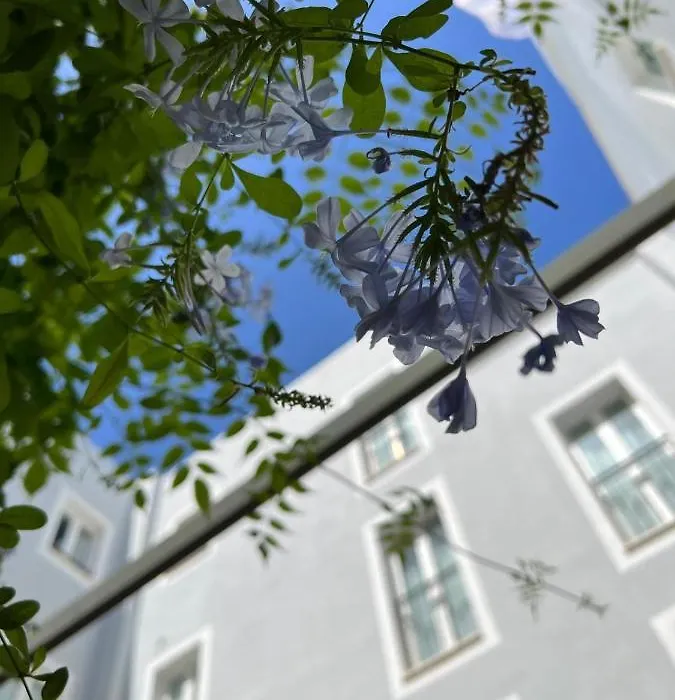 Hotel San Miguel Menorca-1