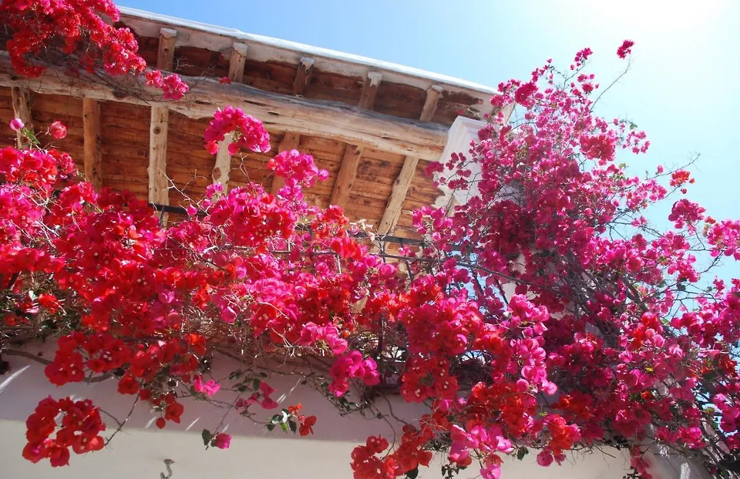 Exquisite Ibiza Villa 4 Bedrooms Villa Chia Private Fenced Pool Area And Table Tennis Santa Eulalia-1