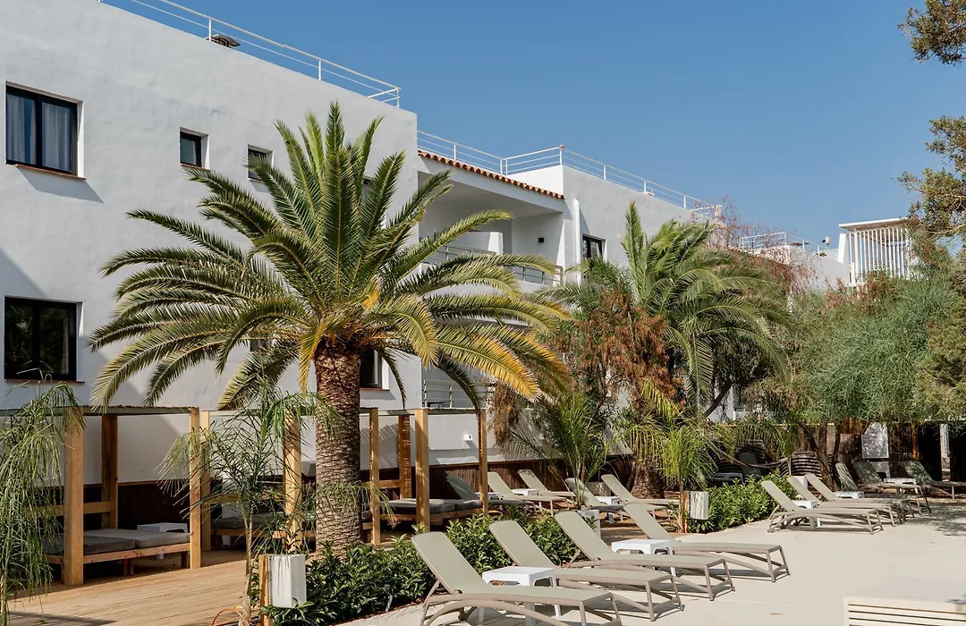 Vago Ibiza-1
