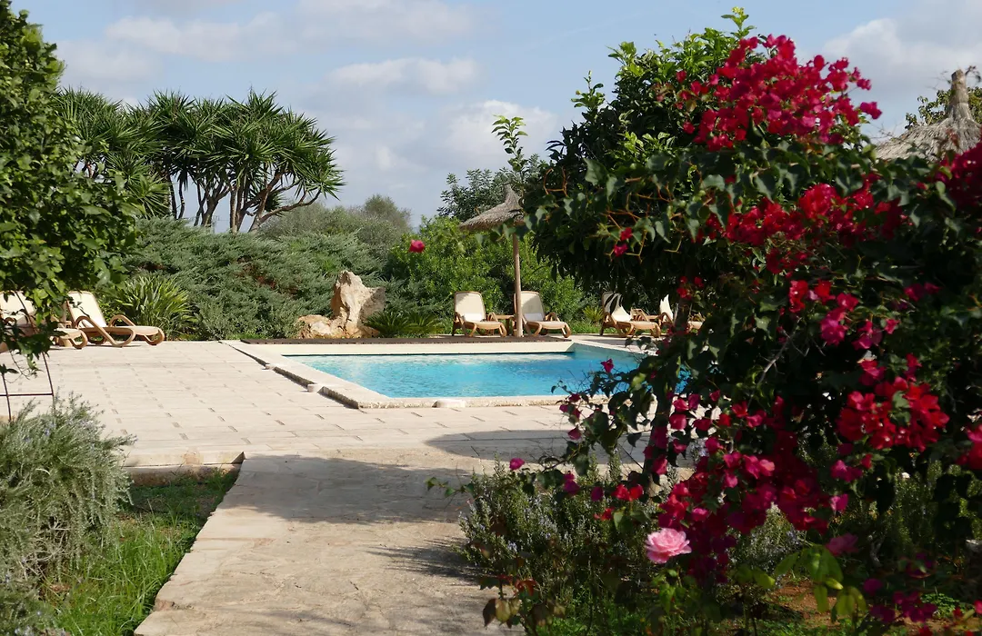 Hotel Sa Carrotja - Adults Only-1