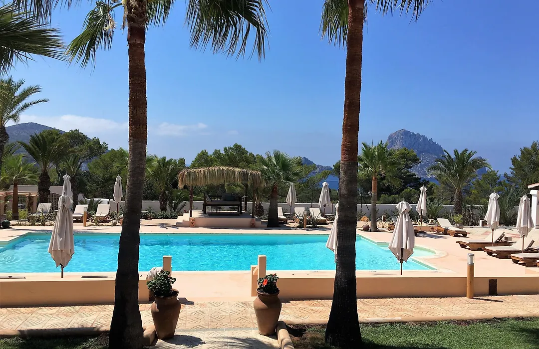 Petunia Ibiza-1