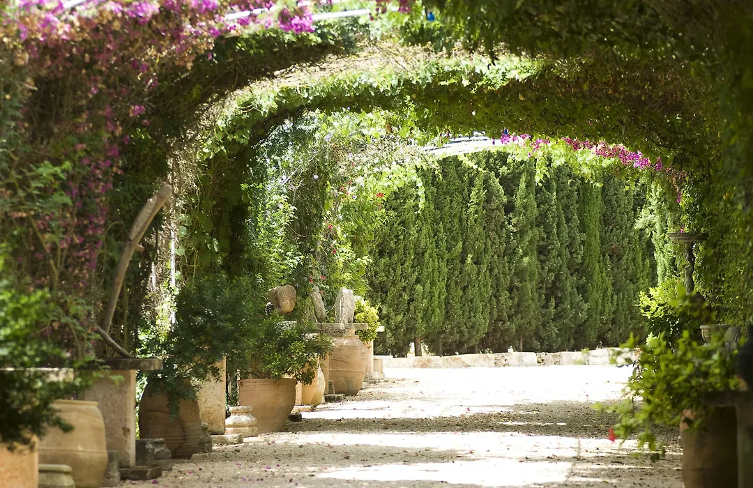 Es Revellar Art Resort - Adults Only-1