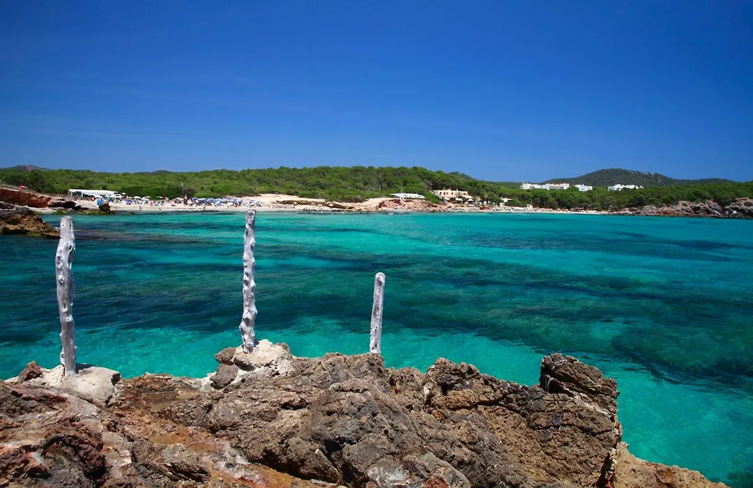 Bluesea Paraiso Beach - Adults Only-1