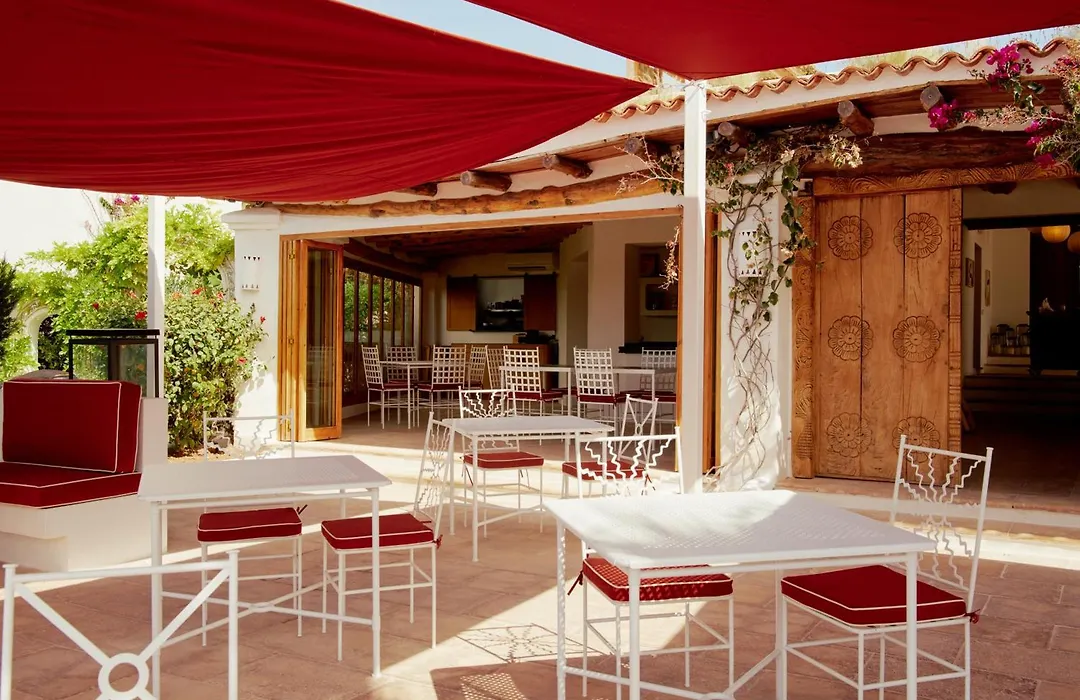 Petunia Ibiza, A Beaumier Hotel (Adults Only)-1