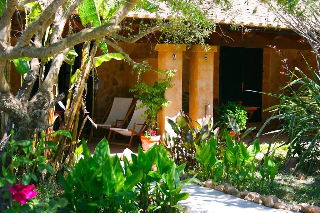 Finca Son Sampoli - Agroturismo Son Sampoli-1