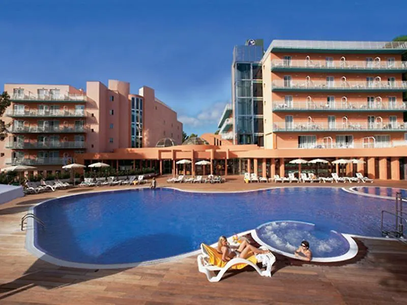 Palmira Paradise-1