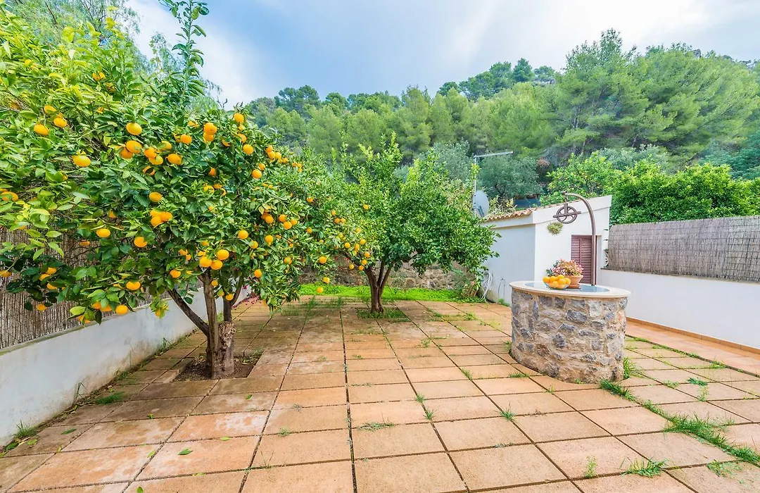 Villa Cati-1