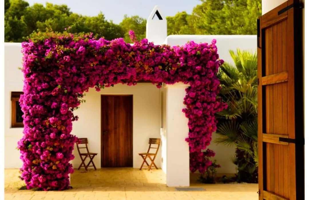 Villa Tegui Is Just A 15 Min Drive To Ibiza Town-1