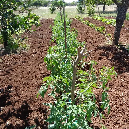 Agroturismo Na Set Centes-2