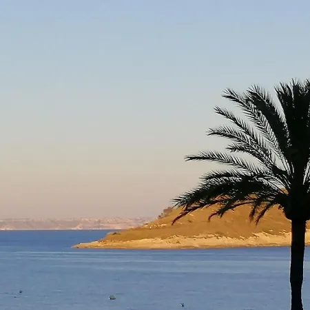 Belvilla By Oyo Apartment In Magalluf-3