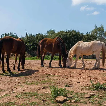 Agroturismo Sa Canoveta-2