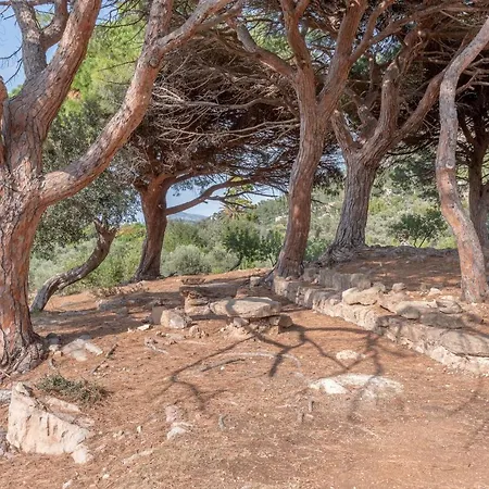 Deia Semi-Detached Sunny Country House, Near Gr221-2