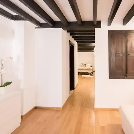 Loft En El Corazon De Palma Cerca De La Catedral-2