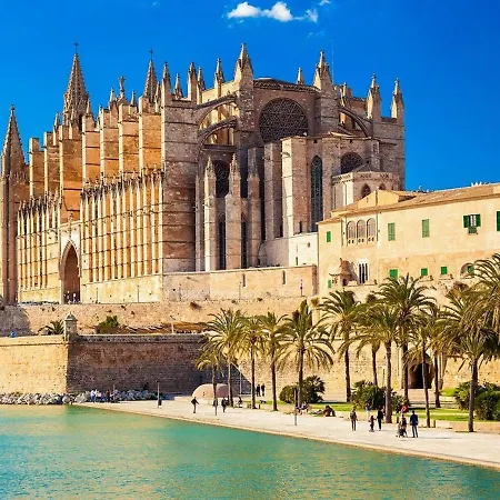 Cosy Apartment In Palma De Mallorca With Private Terrace-2