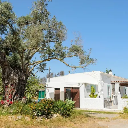 Country House In Heart Of Azaro Valley-2