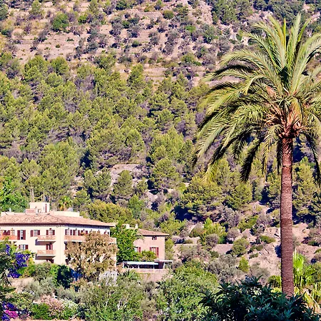 Es Moli-3