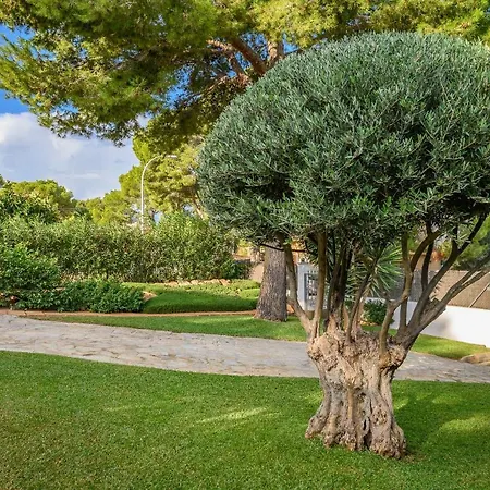 Ref. 2707 - Chic And Comfortable Holiday Villa In Quiet Villa Location In Santa Ponsa-2