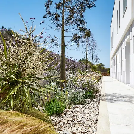 Villa Es Trenc Mallorca - Bauhausvilla Mit 21 M Privatpool Am Es Trenc Naturstrand-2