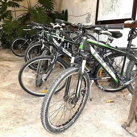 Finca Son Valls-3