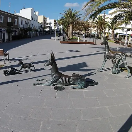 Hostal Mayol-3