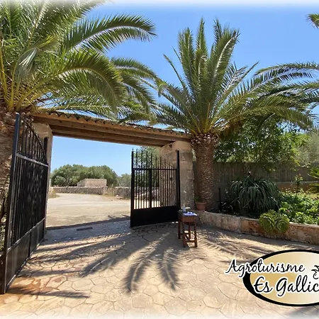 Agroturismo Es Gallicant-3