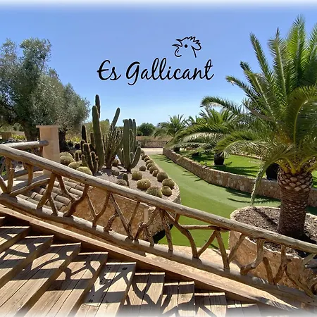 Agroturismo Es Gallicant-2