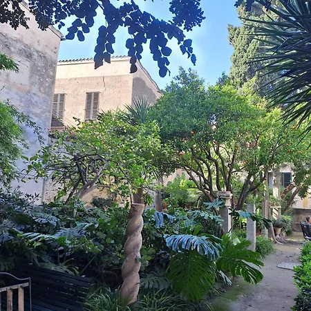 City Haven Palma-3
