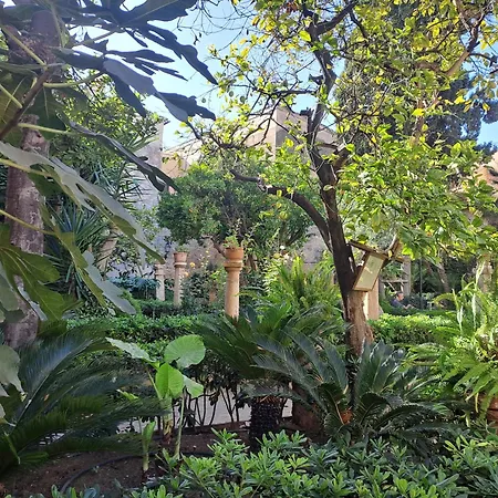 City Haven Palma-2