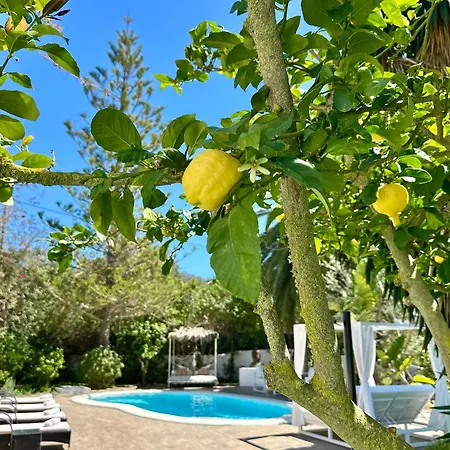 Stylish Ibiza Villa Near Beaches Private Pool & Lush Garden-3