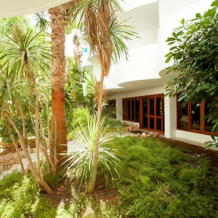 Sentido Fido Tucan - Adults Only-3