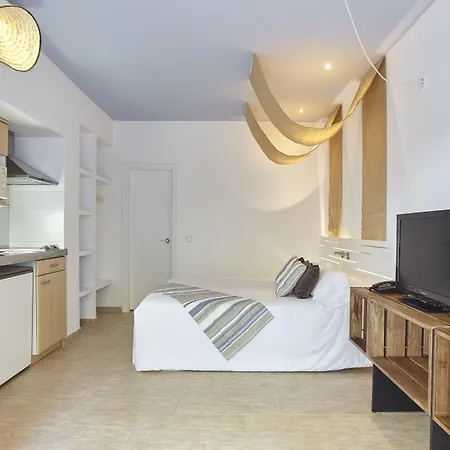 Apartamentos Castavi-2