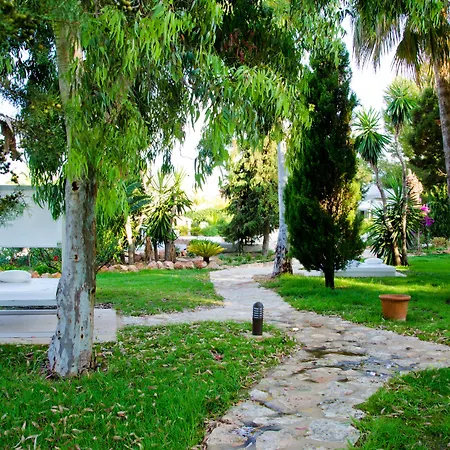 Paraíso de los Pinos-2