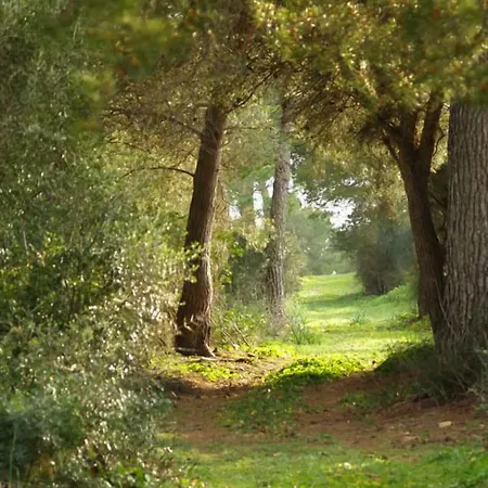 Agroturismo Ses Arenes-3