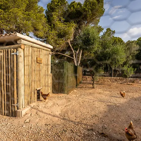 Lago Resort Menorca - Villas&Bungalows del Lago-2
