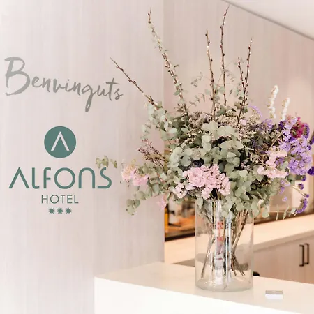 Alfons Hotel-2