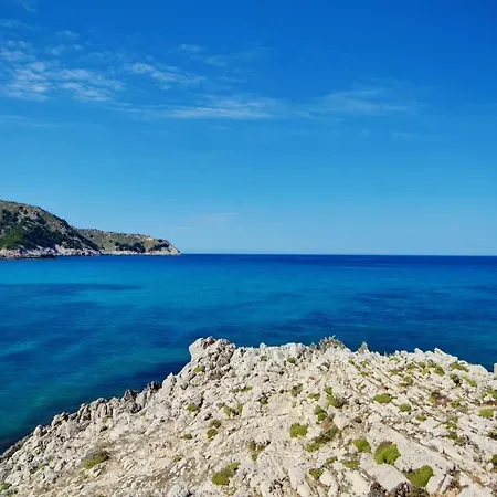 Vincci Bosc De Mar-3