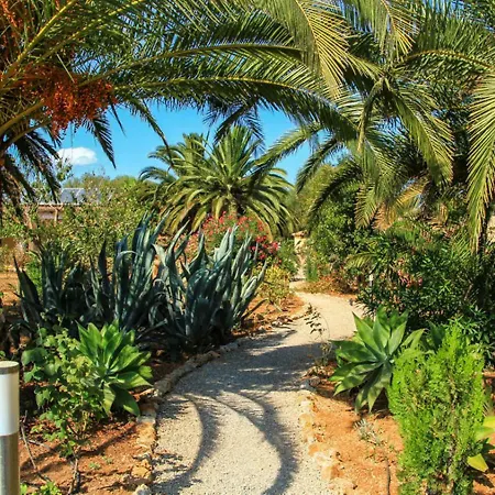 Finca Hotel Rural Predio Son Serra-3