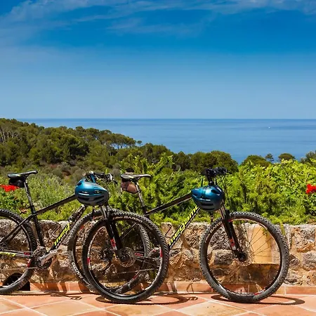 Luxury Private Holiday Villa With Private Pool, Mallorca Villa 1087-3