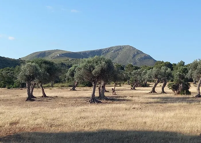 Ferienwohnung El Nido De Betlem Colònia de Sant Pere