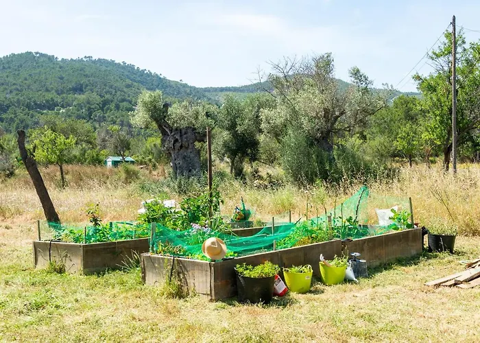 Country House In Heart Of Azaro Valley Sant Carles de Peralta